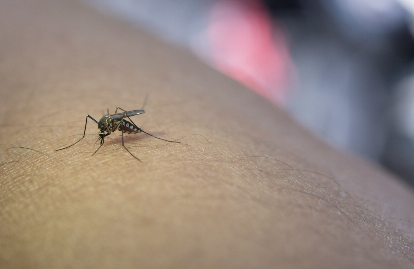 Malaria surveillance visualization
